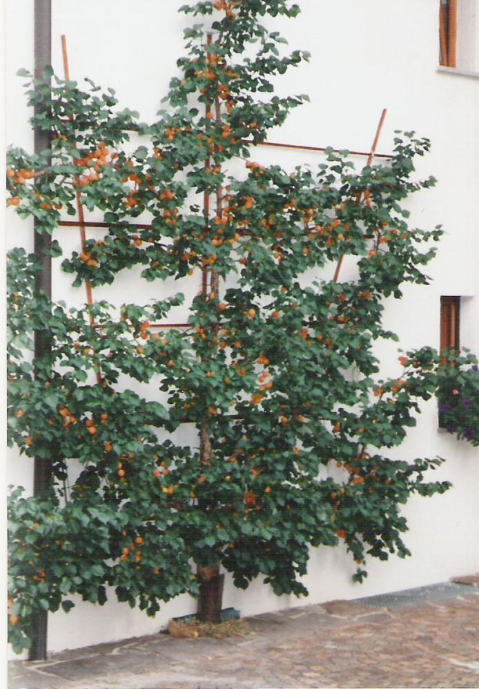 Landhaus Brigitta Innsbruck Buitenkant foto